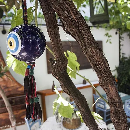 Hotel Dalyan Butik Hayat Bahcesi