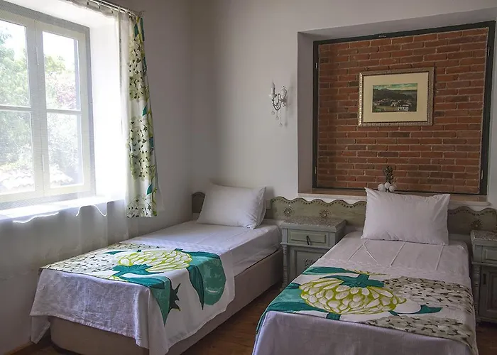 Hotell Dalyan Butik Hayat Bahcesi *