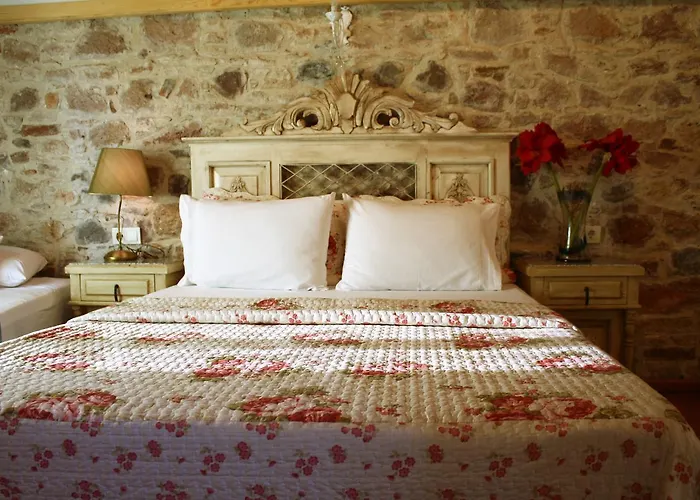 Dalyan Butik Hayat Bahcesi Ayvalı